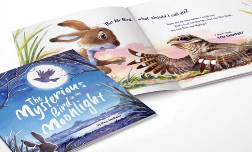 Some of the pages inside the Mysterious Bird in the Moonlight chlidren's book.