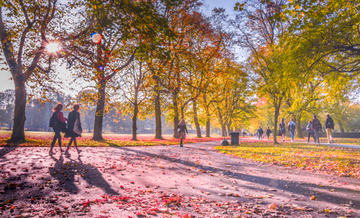 Charitable giving has an important but limited role in bridging the funding gap for public parks and green spaces. August 2019