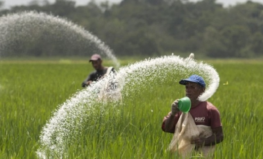 Global food production poses an increasing climate threat