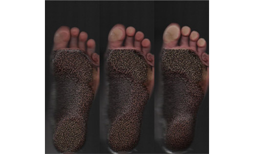 A close-up image of the soles of three feet.
