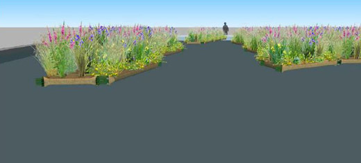 Work begins on improvements to the Roger Stevens pond. October 2018