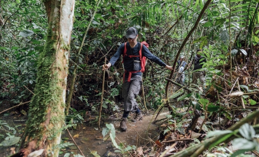 Professor Simon Lewis crossing a stream in a rainforest, surrounded by trees