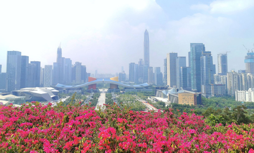 View of Shenzhen in China, one of the cities visited by the student entrepreneurs during their trip. Picture: www.hummingbridsphotography.com. August 2019