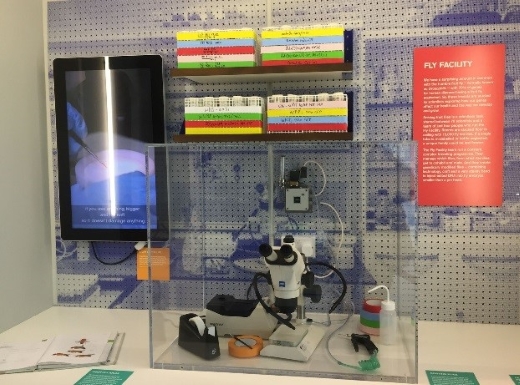 An image of the equipment used by the fruit fly technicians.