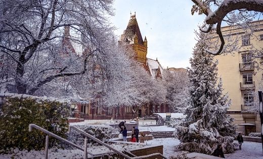 The University&#039;s Christmas tree, covered in snow, with a backdrop of other buildings on campus.
