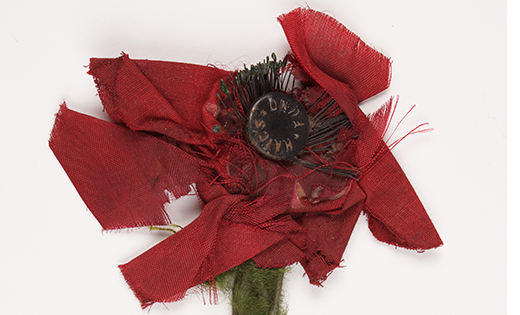 Flanders Poppy. Image credit: Special Collections, University of Leeds August 2018
