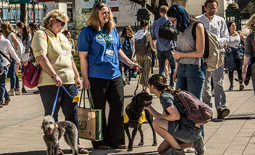 Pets As Therapy dogs Noodle and Pepper with their owners, Natalie Best and Rachel Robinson, during a PAT session on campus. March 2019