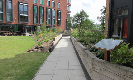 Sensory Garden Stimulates The Senses, Landscape Garden Design Leeds Alumni