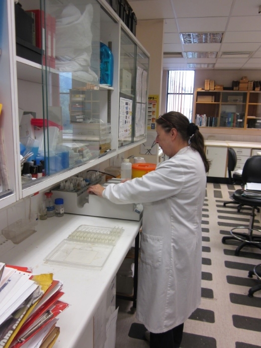 Sue placing samples in a workstation.