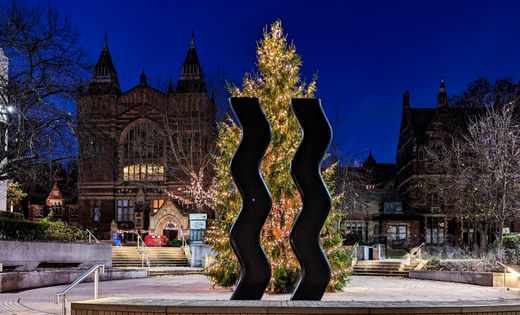 The University&rsquo;s Christmas tree is brightening Beech Grove Plaza