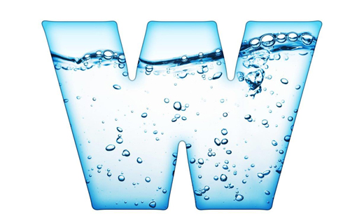 The Water Woman Award logo. March 2020