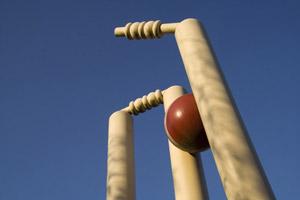 cricket_wicket