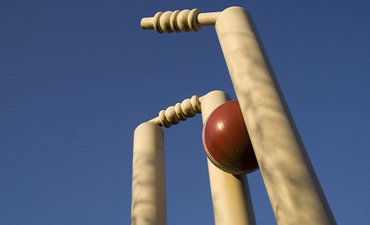 cricket_wicket