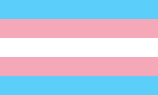 Tuesday 31 March marks Trans Day of Visibility. March 2020